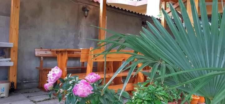 Family Hotel Bohemi II Primorsko Bagian luar foto